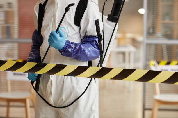 Professional Sewage Cleanup technician working in Fort Loramie, OH